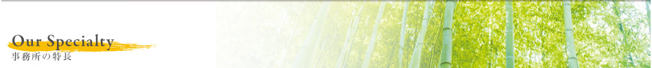 Our Specialty — 事務所の特徴 Our Specialty — 事務所の特徴